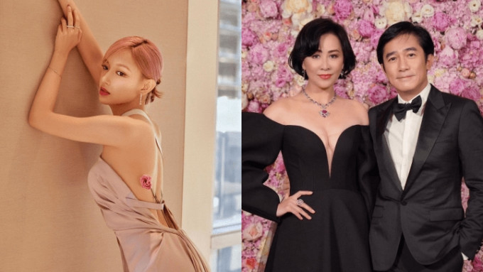 ​梁朝伟离奇疯传恋内地女星诞私生子，刘嘉玲贴一图泄玄机