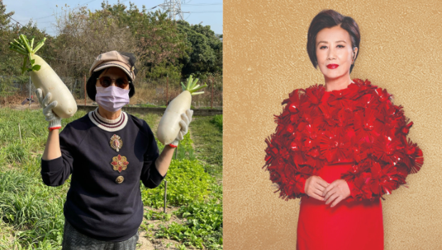 74岁汪明荃澳门街头卖唱？多人证实如女皇出巡气势十足
