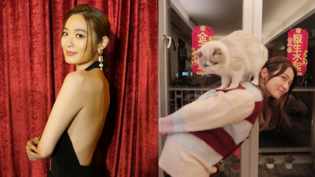 ​蔡洁晒爱猫变晒千万豪宅！环境舒适阔落，周润发都是邻居